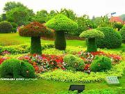 م.محمد غندر