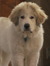 Gretel