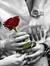 Ahmed A...