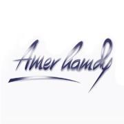 Amer Hamdy