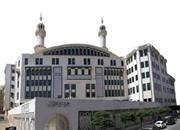 د.يامن هيكل