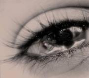 زهرة الياسمين