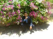 Hatem Mohamed