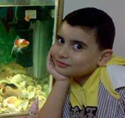 Sameh Kamel