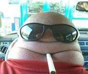 Панелна Чичка