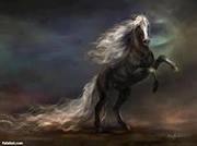 عطيه ابوخاطر