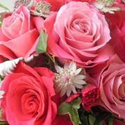 اجلال ابراهيم