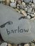 Jon Barlow