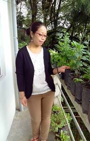 Sudha Rainee