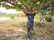 তামজিদ হোসেন