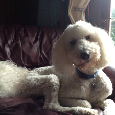Lloyd
