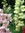 Janice Zecher | 4 comments