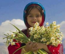 Hala Bakr