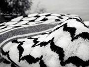 المغربية المغربية آالثآئرة