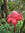 Elysha | 73 comments