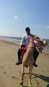 Ahmed Elgamal