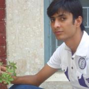 Ali Akbar