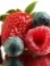 Berry Fink