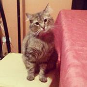 Karín Venegas Álvarez