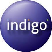 Ivn Indigo