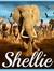 Shellie...