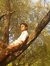 Shams N...