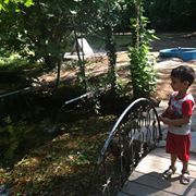 Rabee Elbes