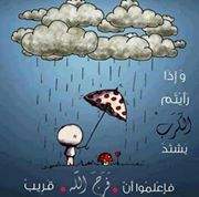 Nehal Taleat montaser