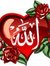 Walaa E...