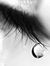 Viviane...