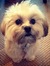 Gaby