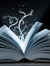 Magic Within the Pages
