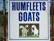 Noahandmarlene Thorp