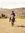 Nizam R...
