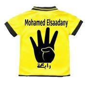 Mohamed Elsaadany