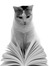 Mollie the Cat