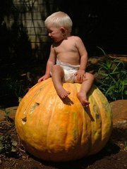 Charles Ashley-belbin