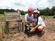 Waree Kitcharoenthumrong