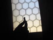 اللولوة أمجادي