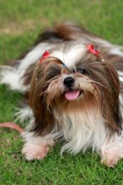 น้องเน็น จัง