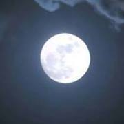 Георги Сурчев