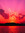 D | 95 comments