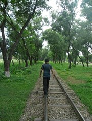 Hasan Yeaseen