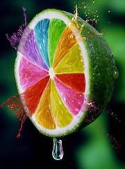 Φαιδρα Πελεκη