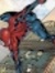 Spidey Ok