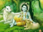 Sujash Mishra