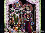 Dhamodharan Srinivasan