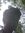 Azard