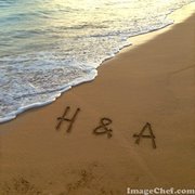 زهرة الياسمين