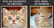 Ivinng Lacho